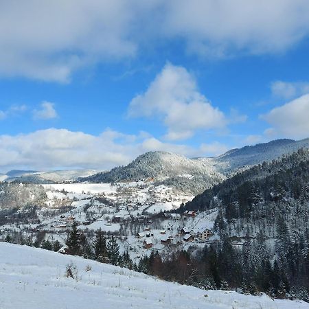 Tarska Carolija Zaovine Villa Popovići Eksteriør bilde