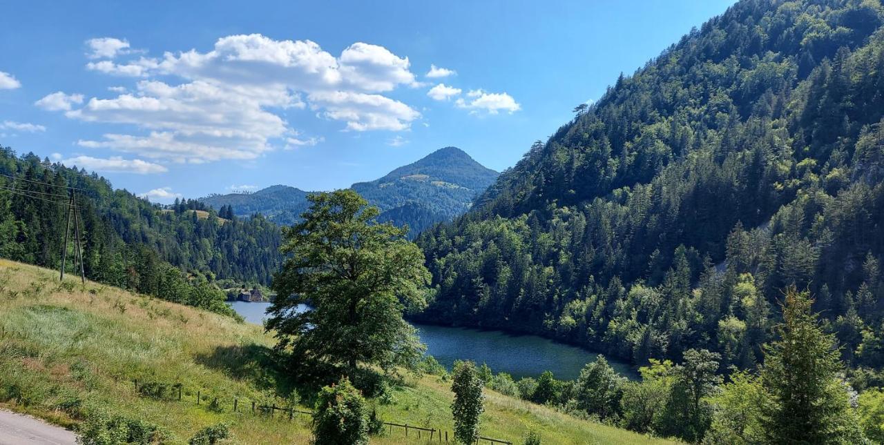 Tarska Carolija Zaovine Villa Popovići Eksteriør bilde