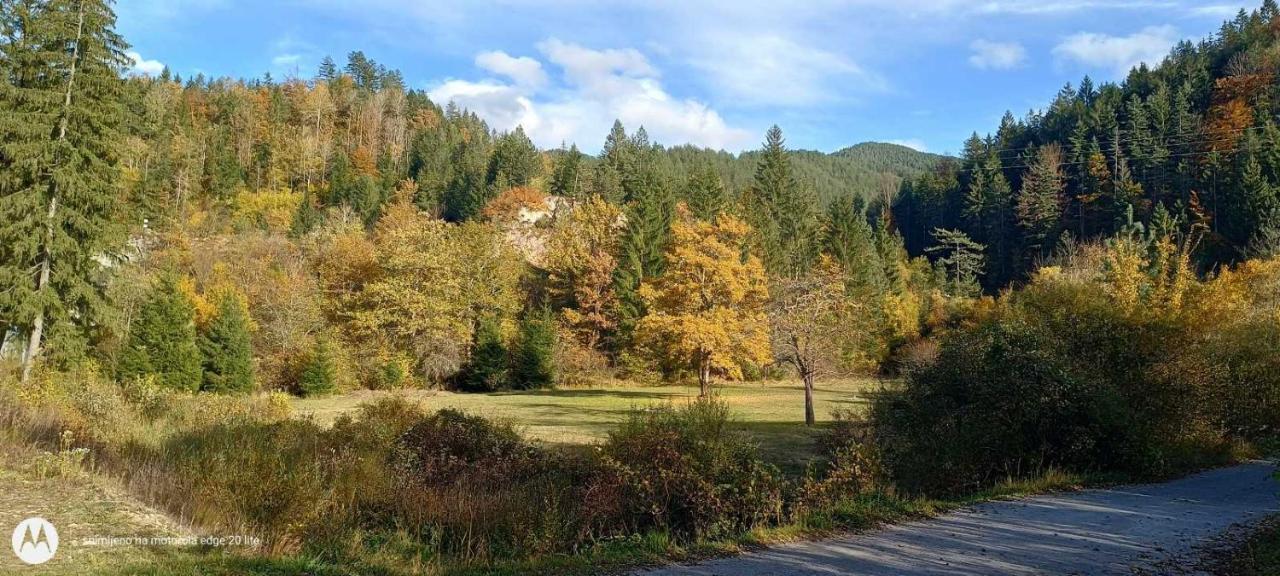Tarska Carolija Zaovine Villa Popovići Eksteriør bilde